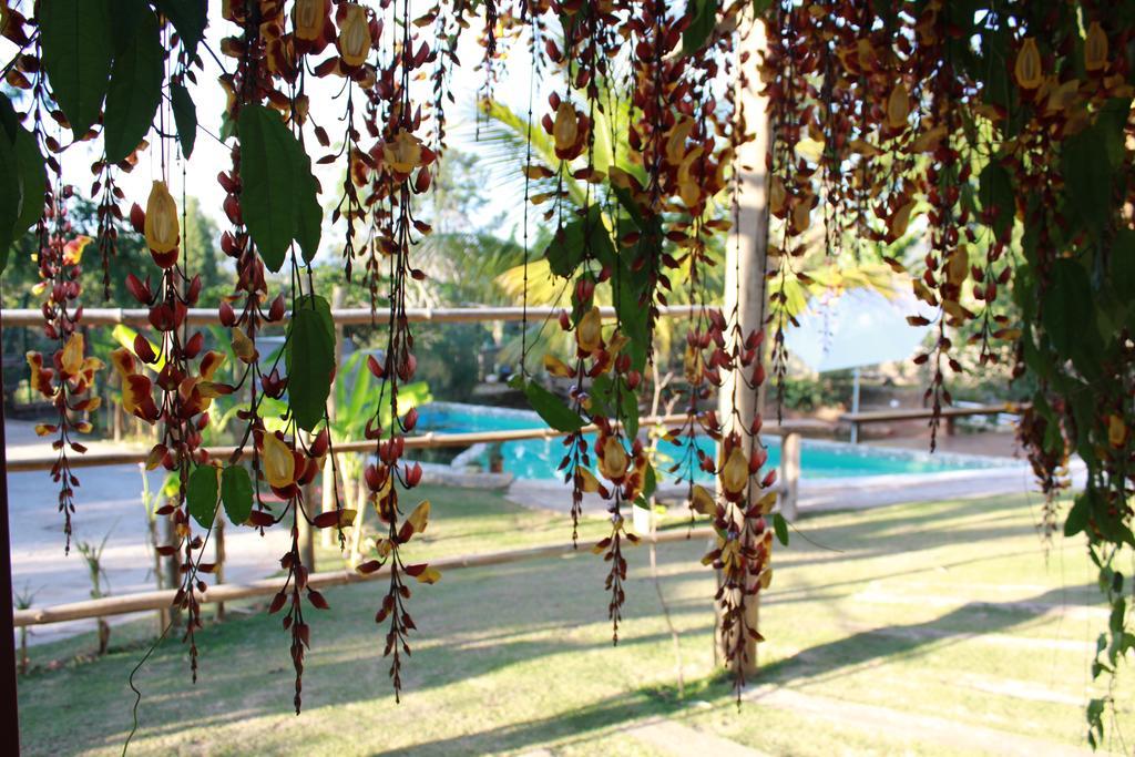 Pousada Recanto Da Estacao São João da Boa Vista Buitenkant foto